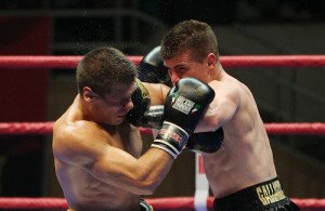 Boxer Getting a Punch in the Face