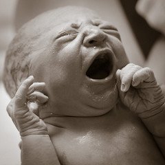 Newborn Baby Crying