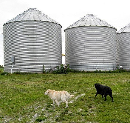 Silos